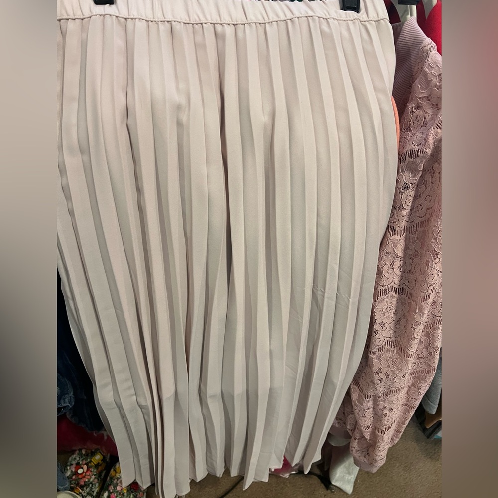 ***BRAND NEW w/TAGS*** Blush Pleated Skirt 💕